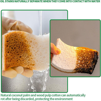 Sponges Kitchen Natural Dish Sponge Plant-Based Biodegradable Compostable Cellulose with Coconut Scrubber Sponge Non Scratch Eco Friendly Kitchen sponges for Kitchen Dishes（Pack of 12）