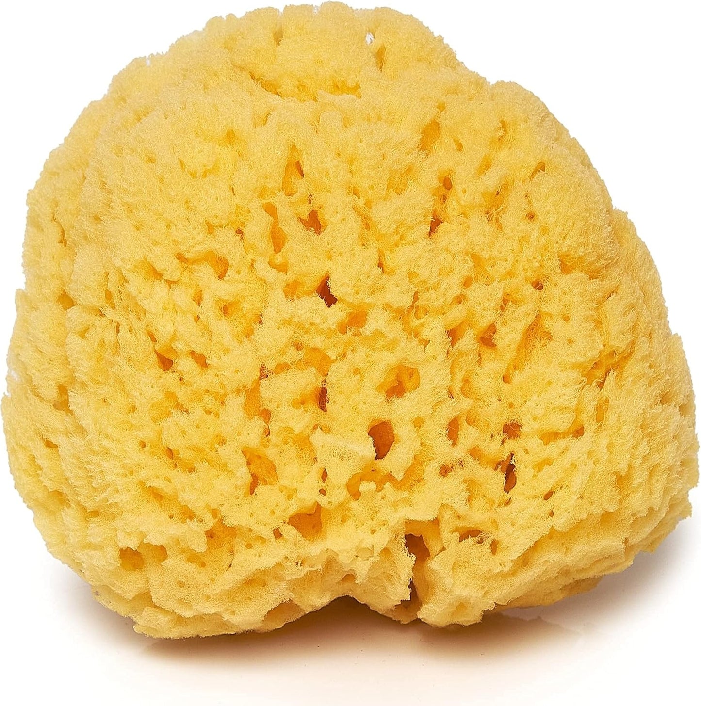 Sea Sponge for Bathing 5 Inch – Softly Rough, Non-Irritating Natural Bath Sponge (Yellow)