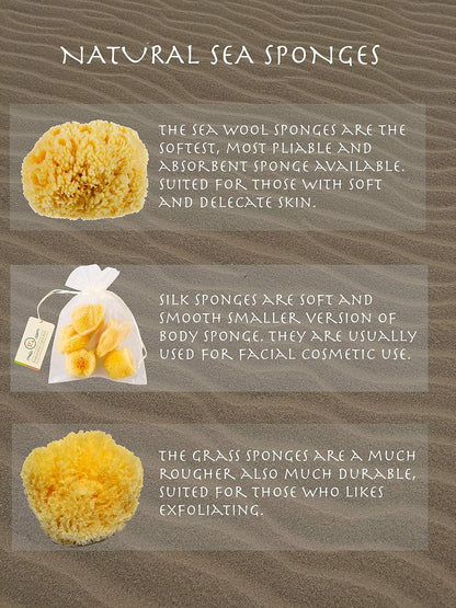 Sea Sponge for Bathing 5 Inch – Softly Rough, Non-Irritating Natural Bath Sponge (Yellow)